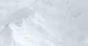 Denali Therapeutics Inc. Share Price